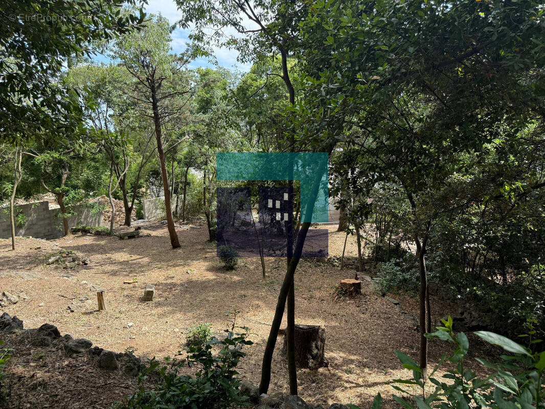 Terrain à MONTPELLIER