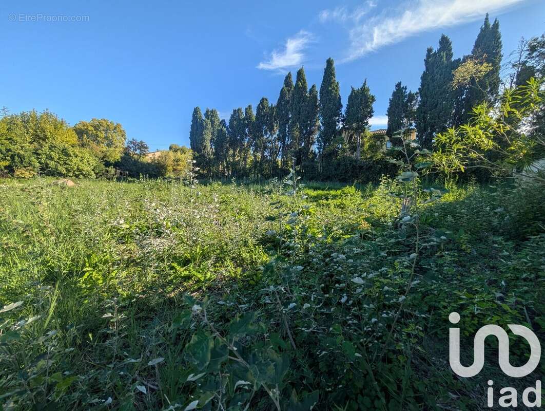 Photo 7 - Terrain à SAINT-REMY-DE-PROVENCE