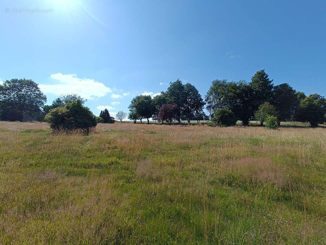 Saint Igeaux terrain a vendre - photo 3