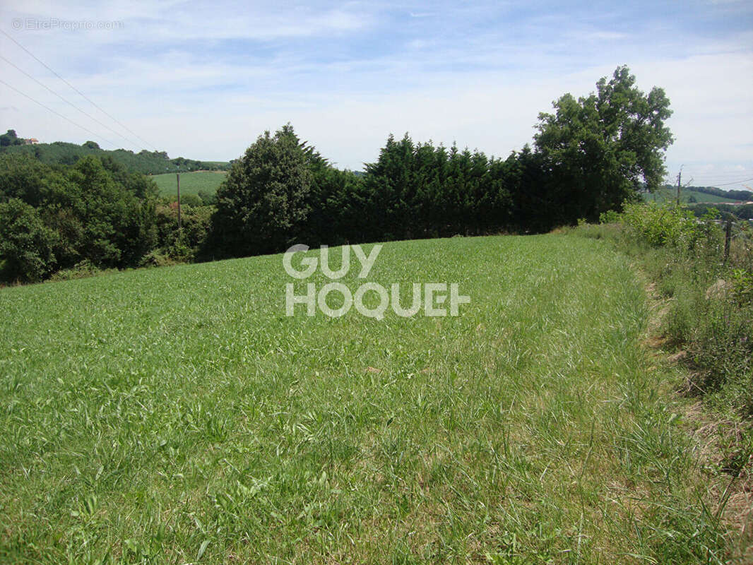 Terrain à MALAUSSANNE