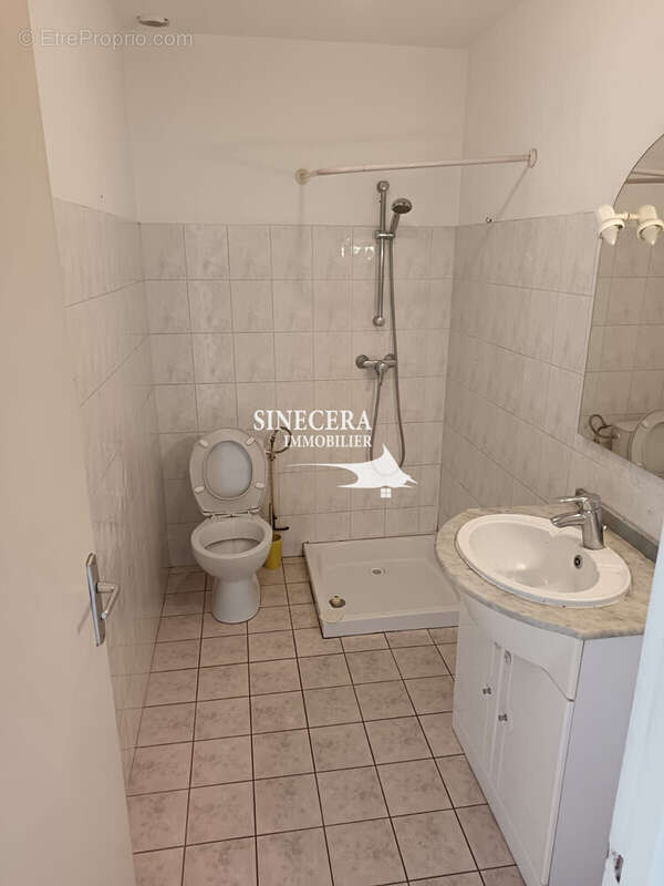 Maison 250 m² à Riberac  - photo 6