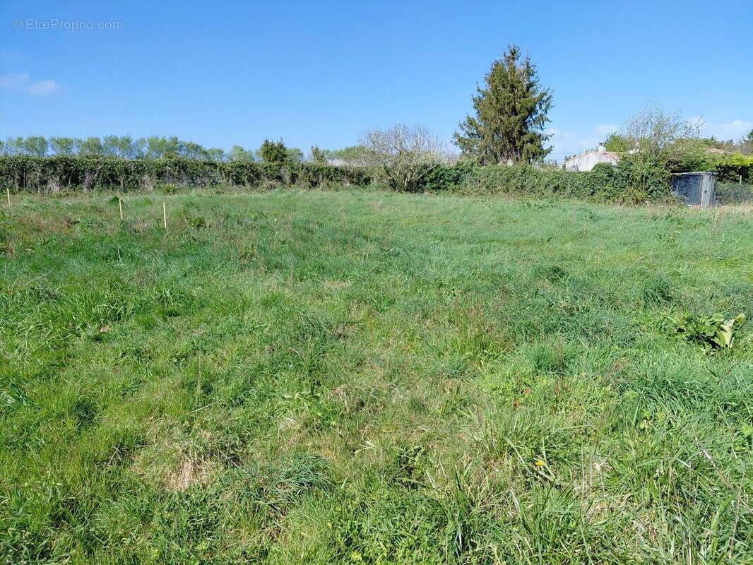 Terrain à SAINT-AGNANT