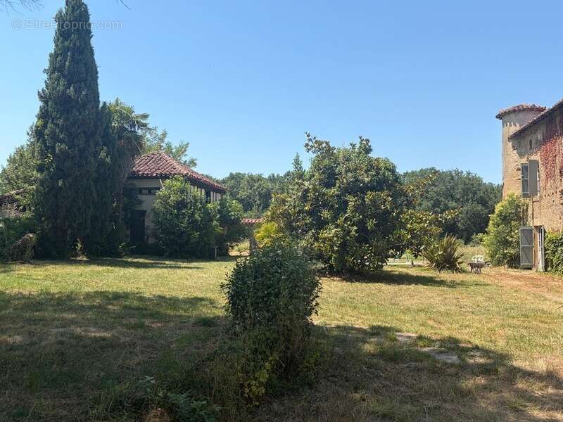 MARCIAC(32): ancienne SEIGNEURIE avec BEAU CHATEAU XIV sur 3,5ha, cachée, au bout du chemin, sans voisin, en campagne, 500m2 hab - photo 43