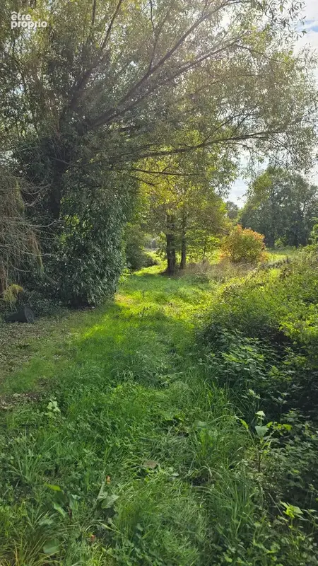Près de Rennes, en allant vers Saint Malo - Une Maison chaleureuse, un cadre verdoyant tranquille, - photo 15