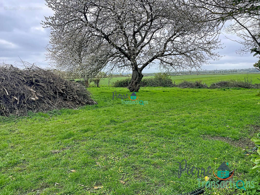 Maison à VATTEVILLE-LA-RUE