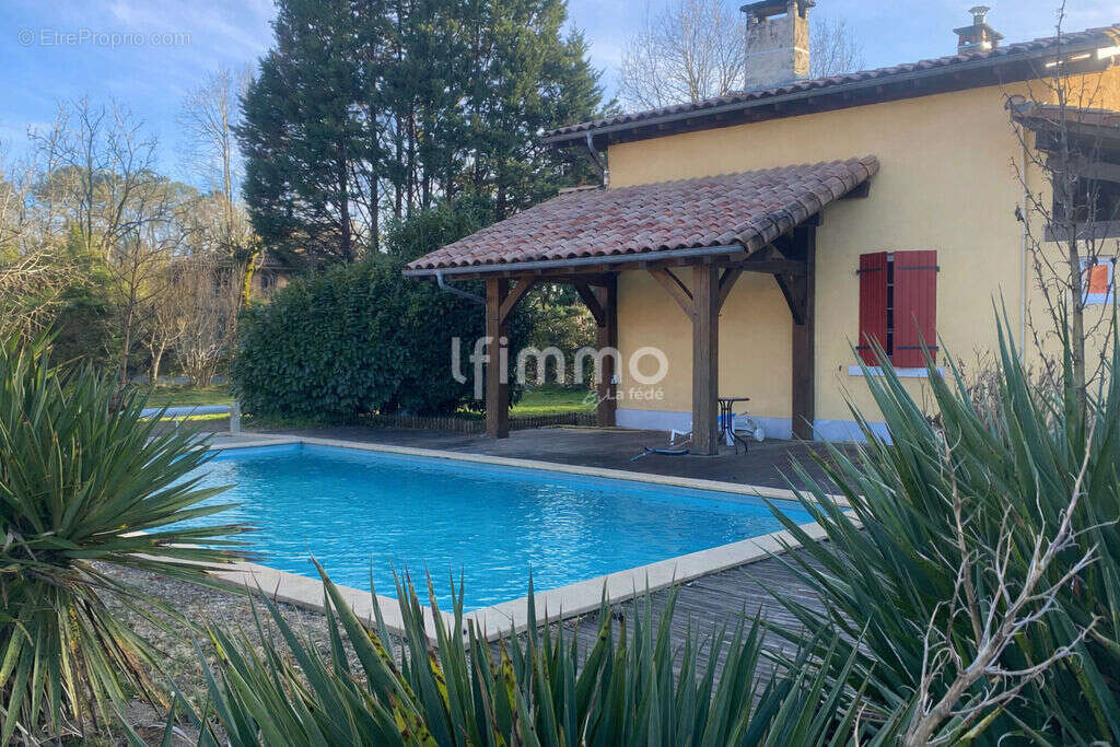 Maison landaise avec piscine, dépendance et terrain - photo 13