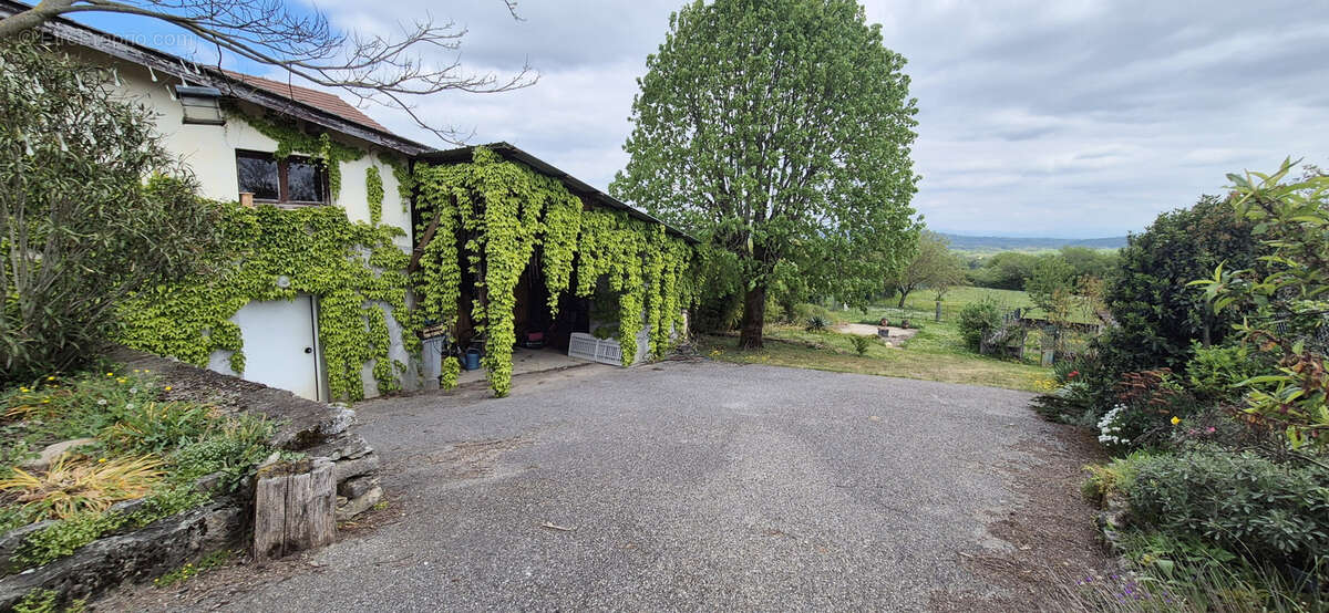 Maison à TREPT