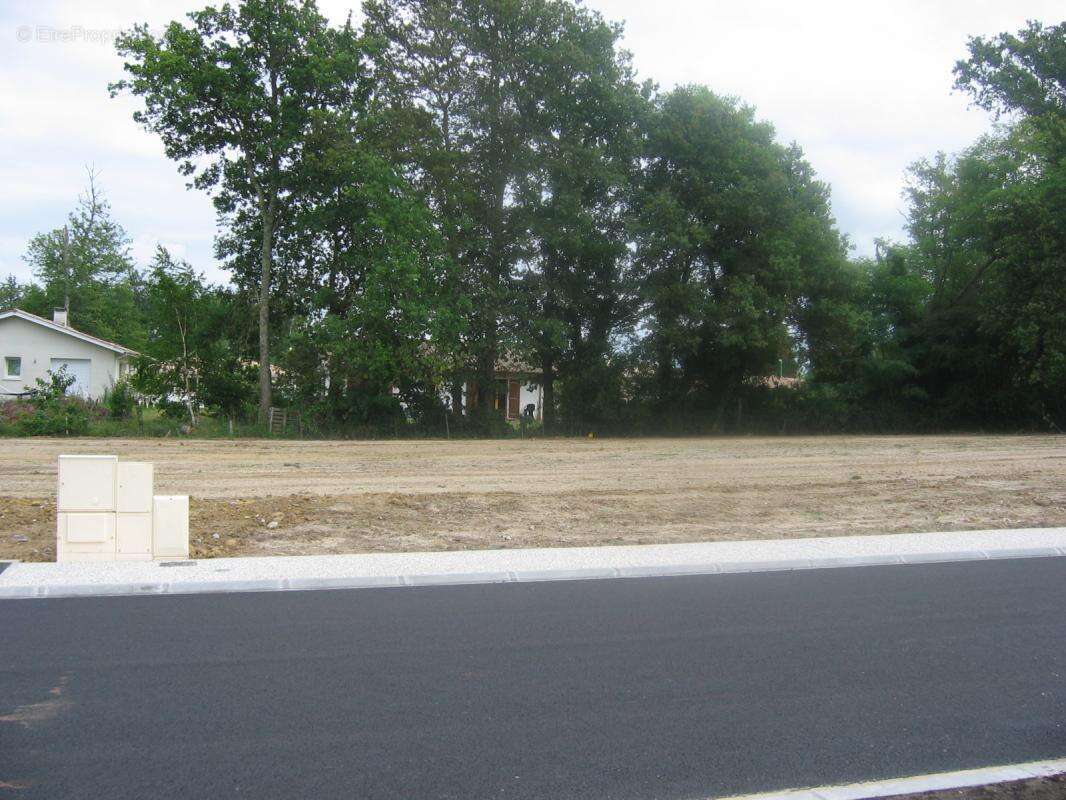 Terrain à BELIN-BELIET