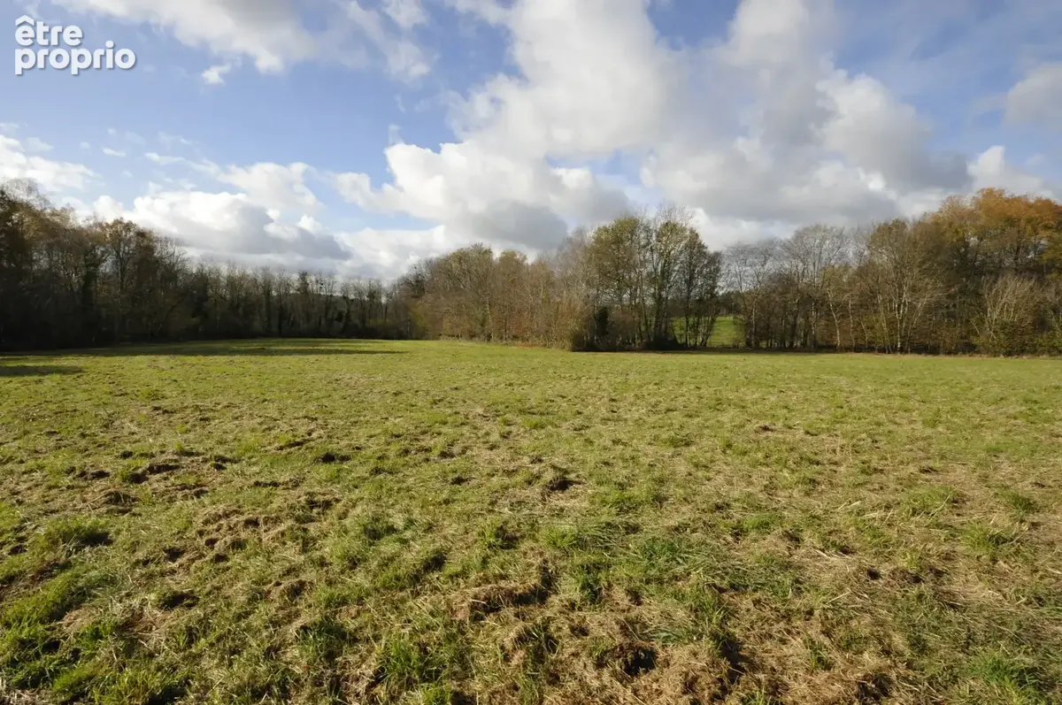 Terrain Agricole ou de Loisir d'un seul tenant, idéal pour chevaux ou animaux - photo 11