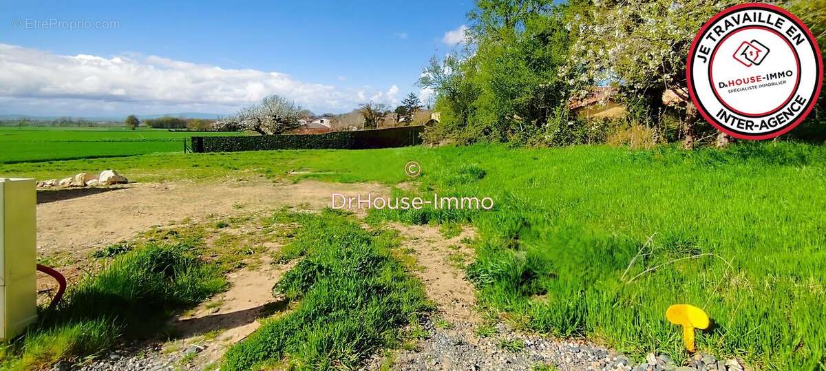 Terrain à SAINT-BERNARD