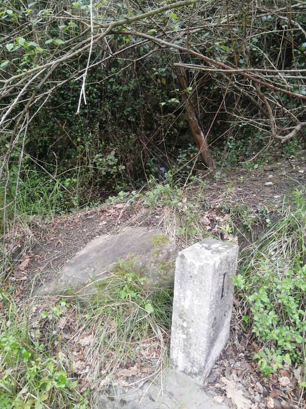 Terrain à BREIL-SUR-ROYA