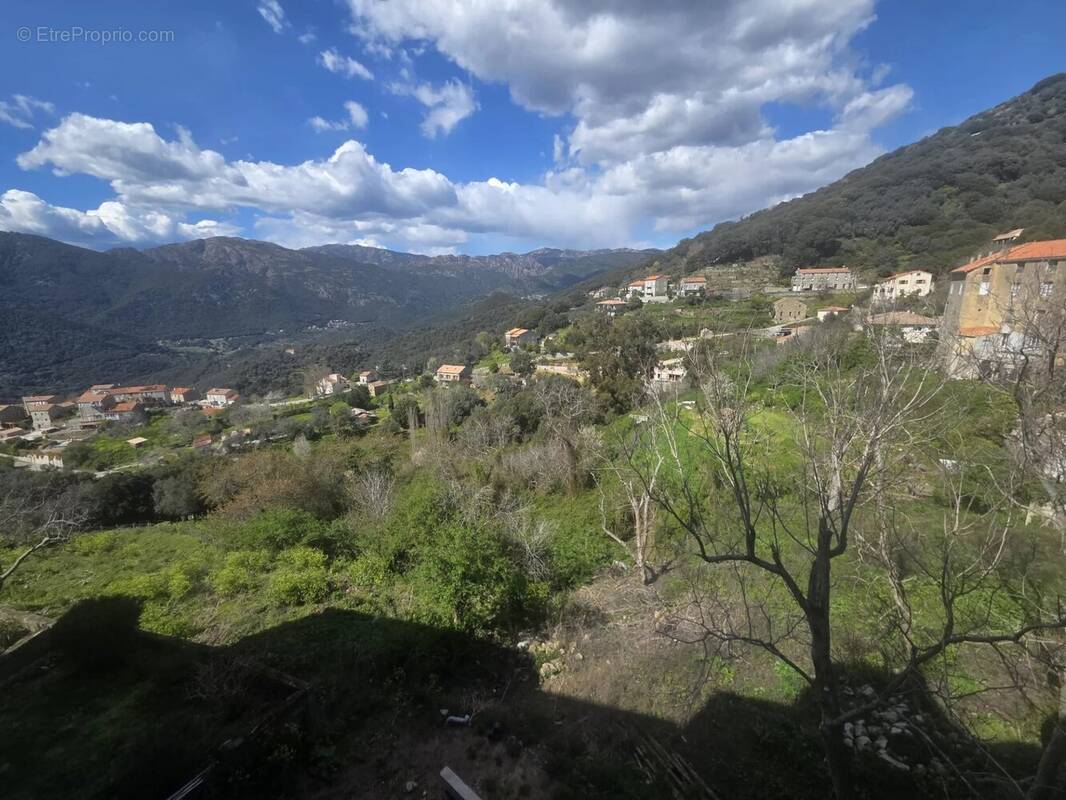 Appartement à SAINTE-LUCIE-DE-TALLANO