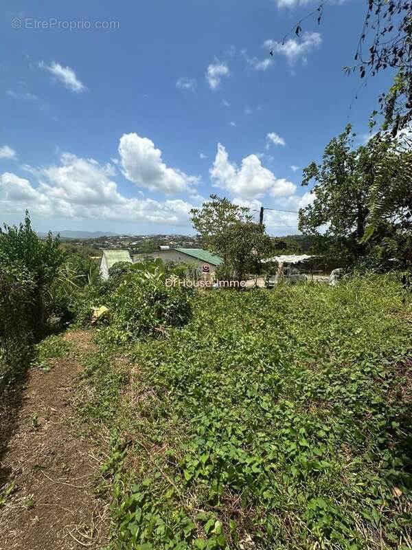 Terrain à LE LAMENTIN