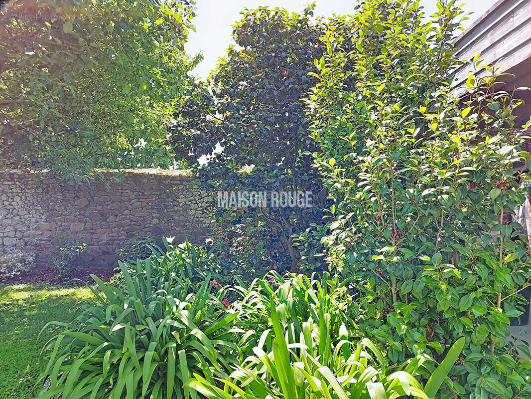 Maison hyper centre ville avec beau jardin arboré, suite parentale et cuisine de chef au coeur de Lamballe - photo 6