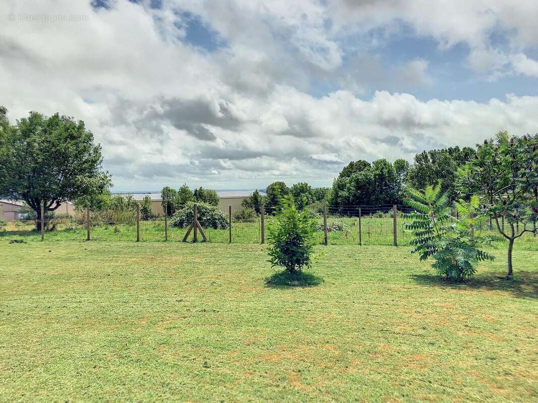 Photo 6 - Maison à PAMPELONNE