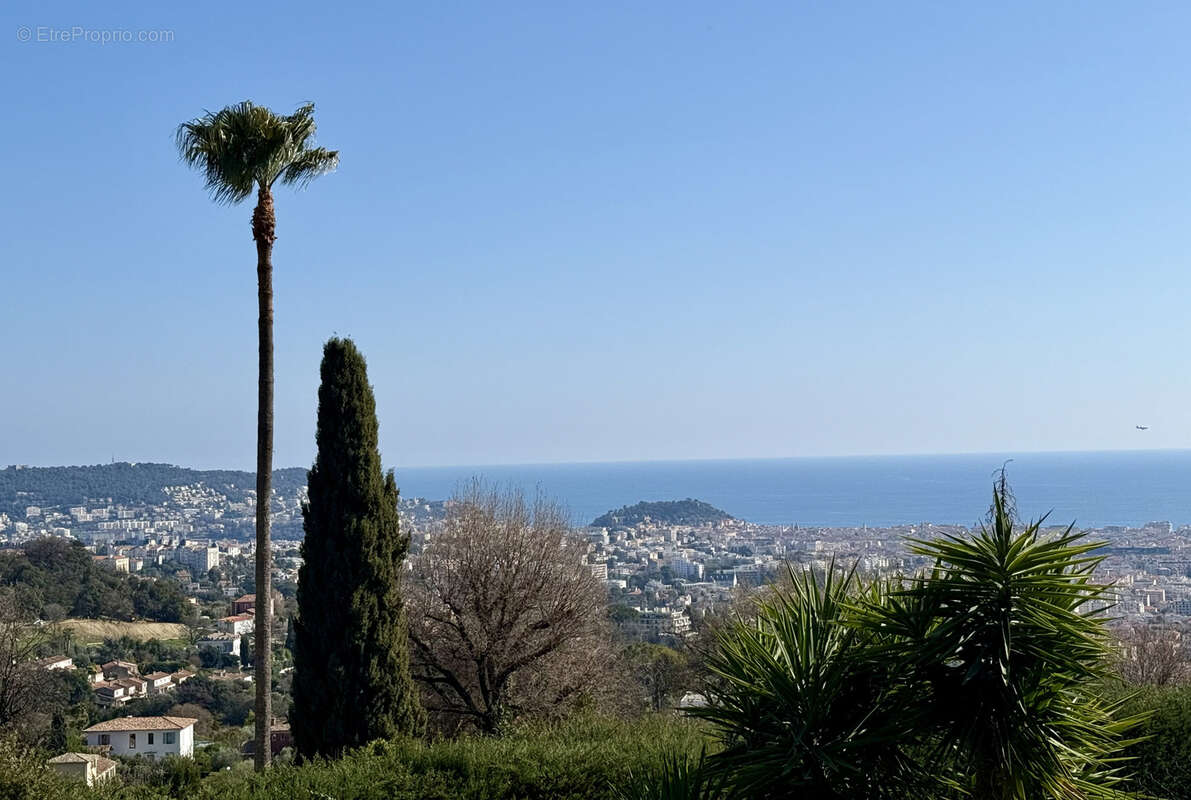 Terrain à NICE