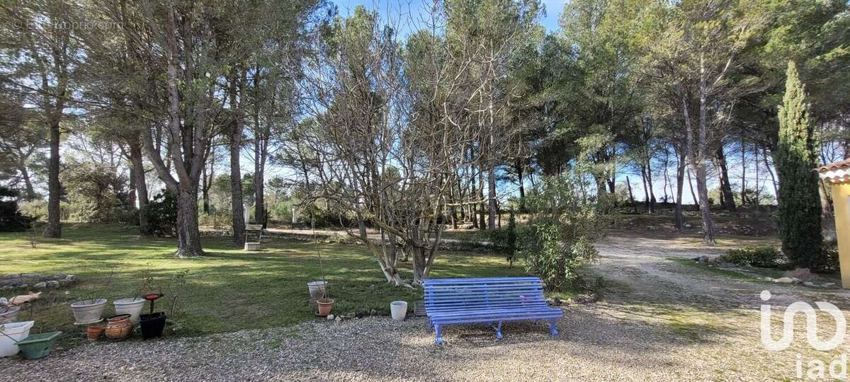 Photo 3 - Maison à L'ISLE-SUR-LA-SORGUE