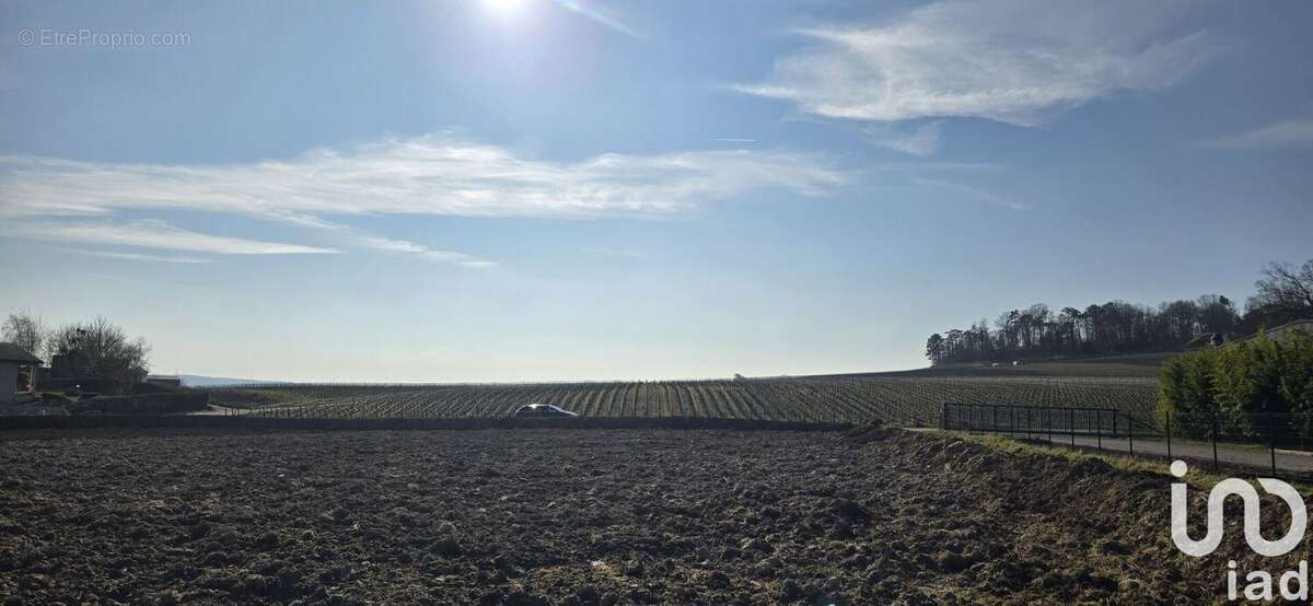 Photo 2 - Terrain à MERFY