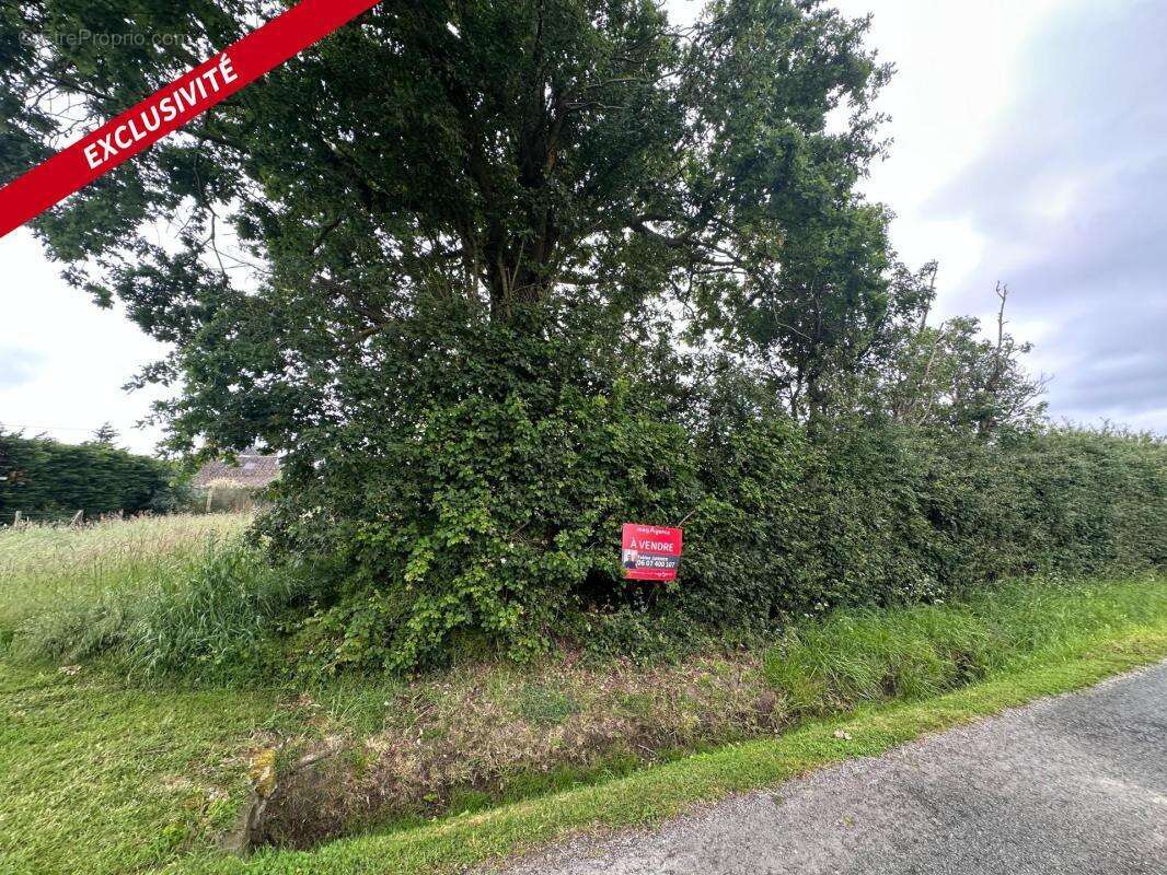 Terrain constructible au coeur des vignes de 727 m² env - photo 5