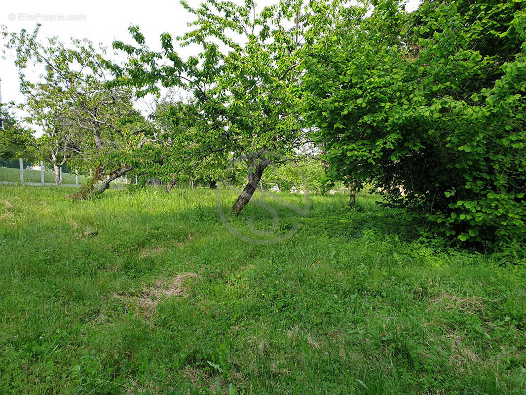 Terrain à LA COTE-SAINT-ANDRE