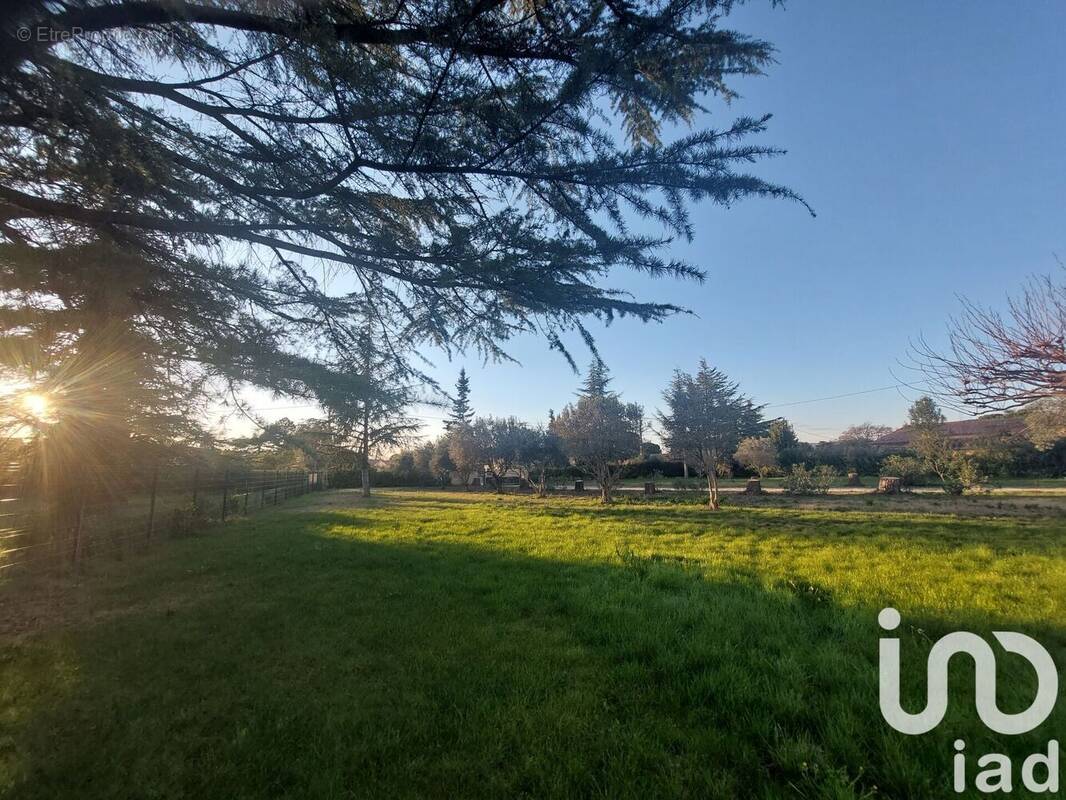 Photo 1 - Terrain à CARPENTRAS