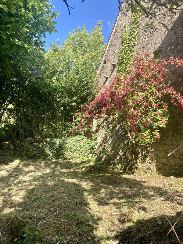 Maison à VEZELAY