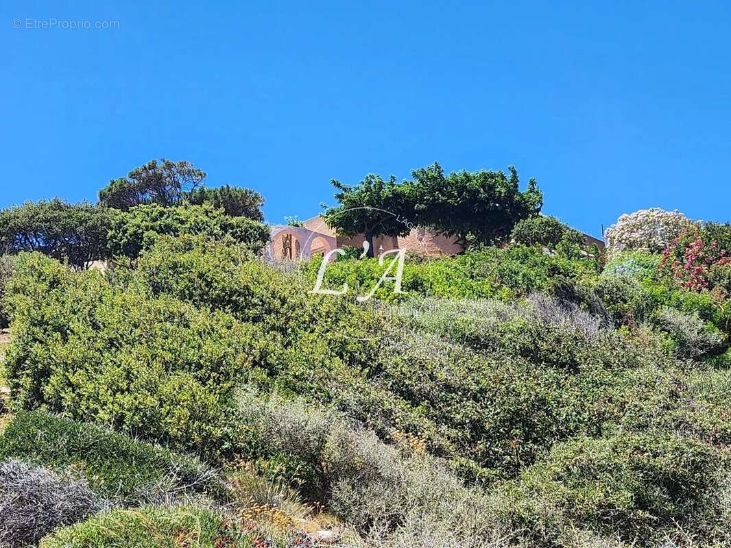 Maison à PORTO-VECCHIO