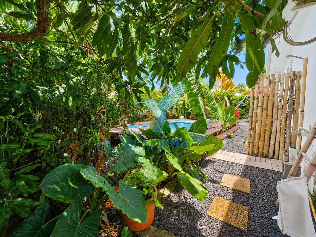Baie-Mahault   Secteur recherché de La Jaille  Superbe villa T4 avec piscine et jardin - photo 3