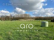 Terrain à WANNEHAIN