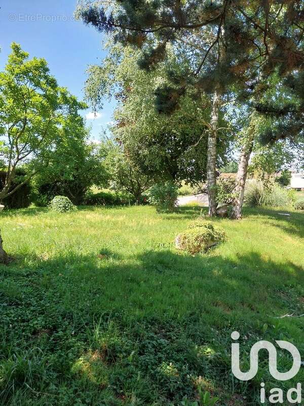 Photo 4 - Maison à CIEL