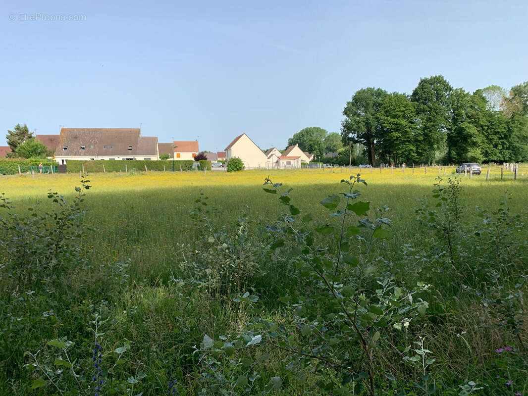 Terrain à ATHIES-SOUS-LAON