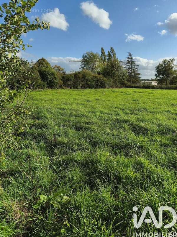 Photo 3 - Terrain à CEAULMONT
