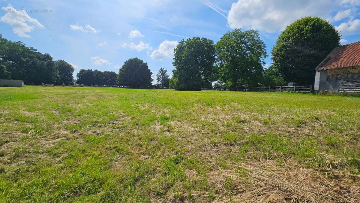 Terrain 3883 m² / DENIER / 62810 - photo 2