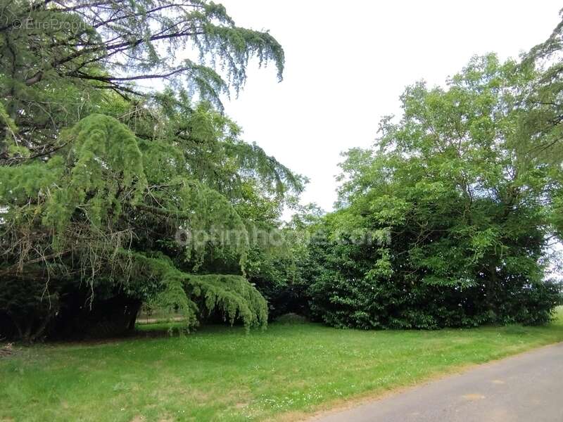 Maison à SAINT-ANGEAU