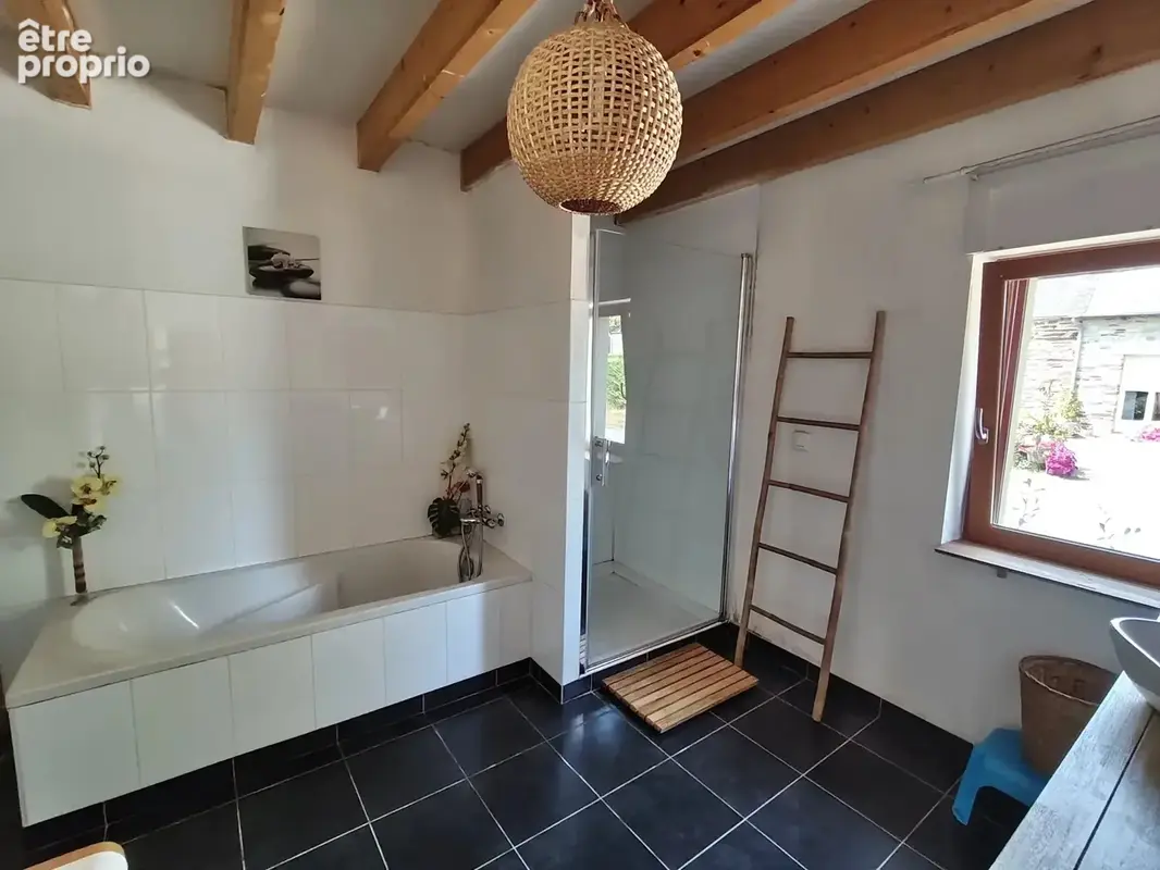 Maison 6 pièces 240 m² à vendre à Maxent (35380) - photo 6