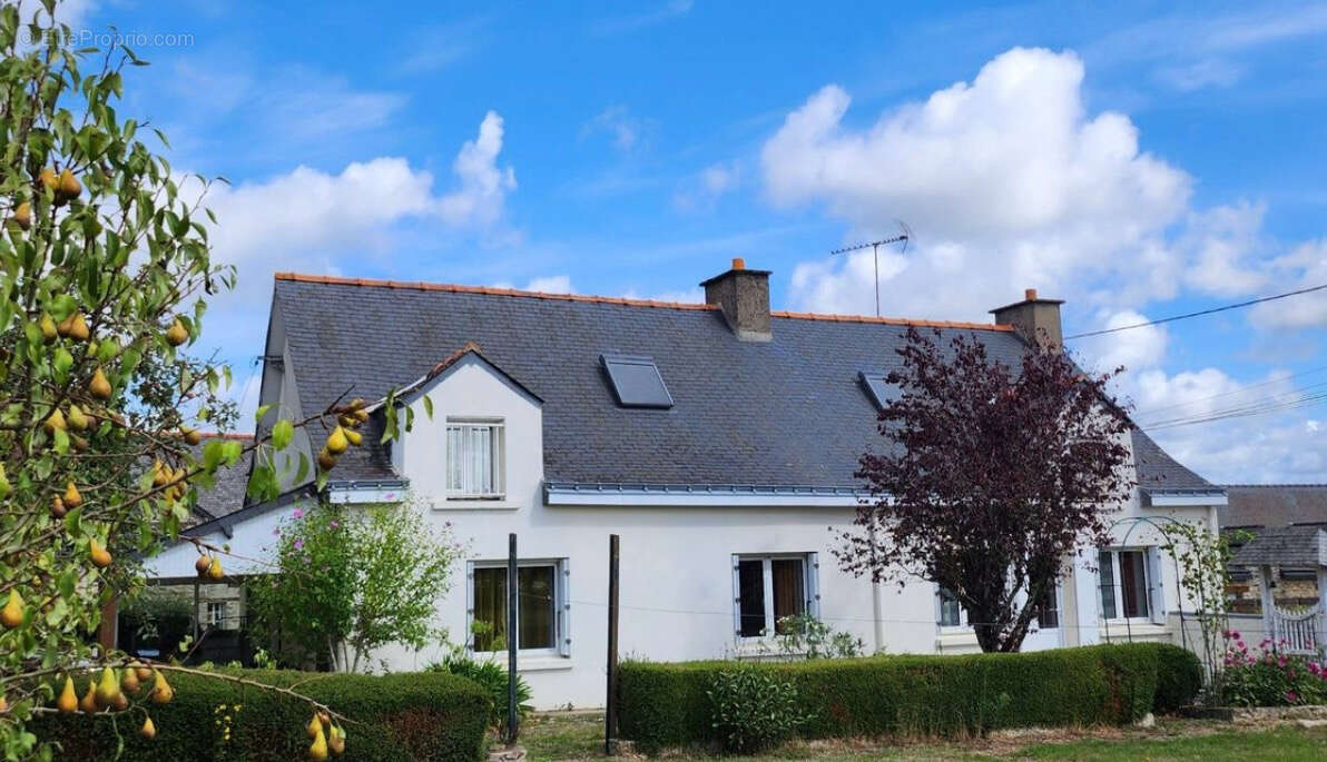 Maison à CHATEAUBRIANT