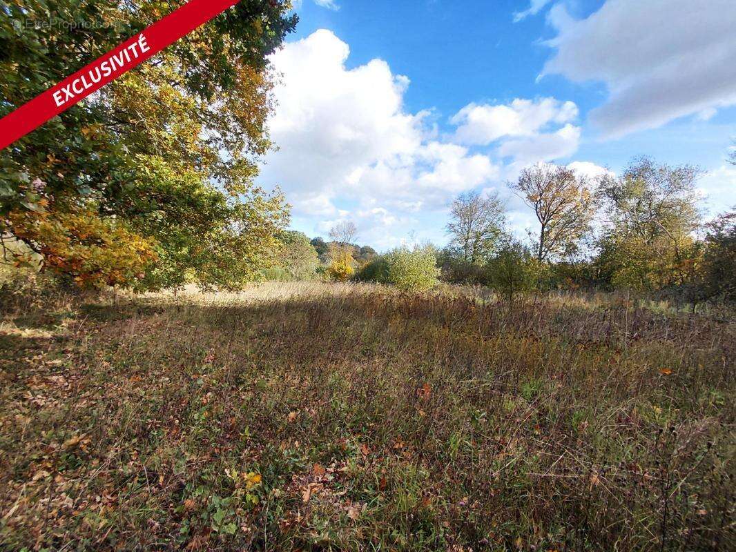 Maison à LE MELE-SUR-SARTHE