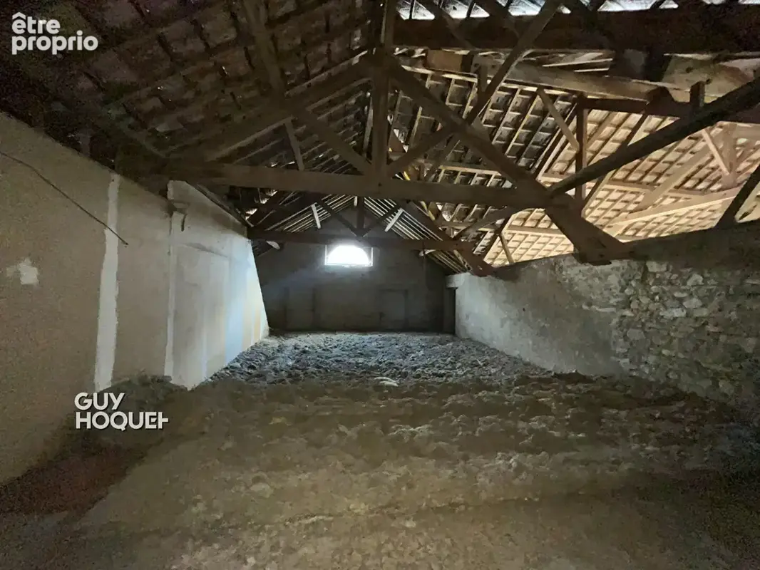 Grande bâtisse de caractère avec jardin, garages et fort potentiel à Toulon Sur Arroux - photo 16