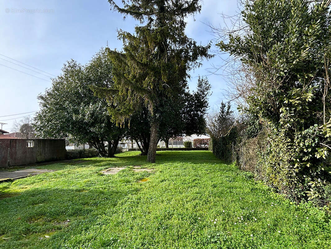 Maison SEMUSSAC 7 pièces 178m2 - photo 5