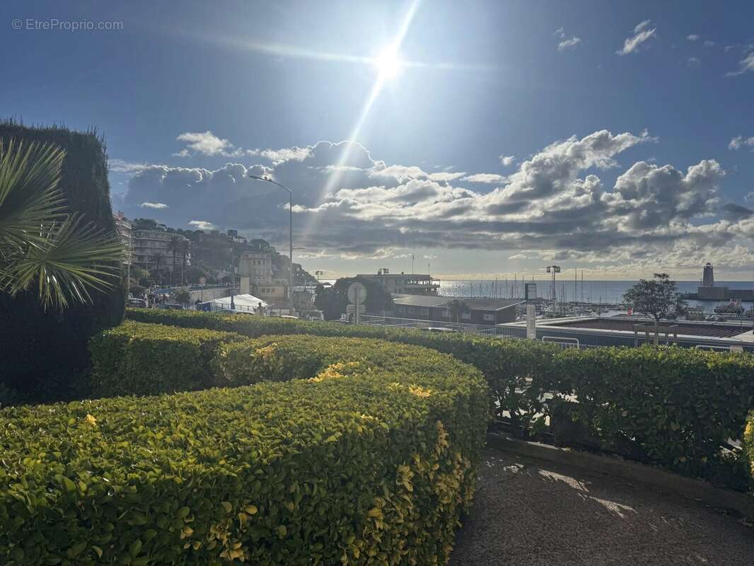 Nice le port / franck pilate - photo 17