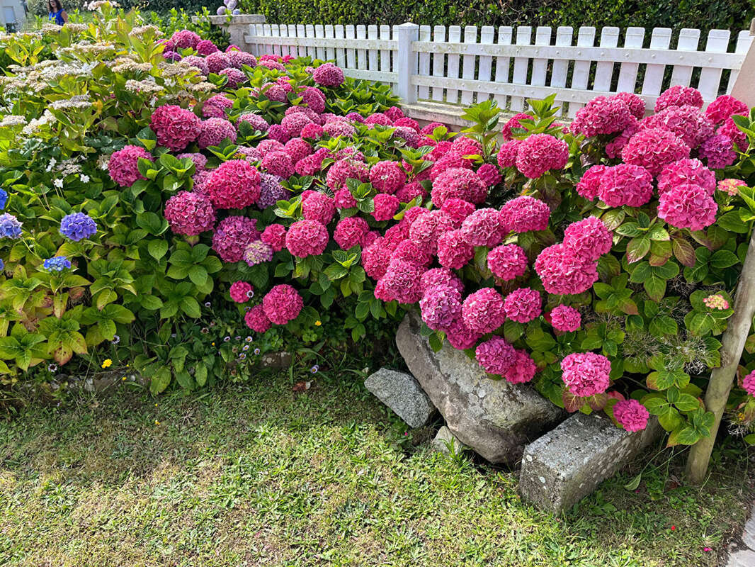 Maison à PLOUGUERNEAU