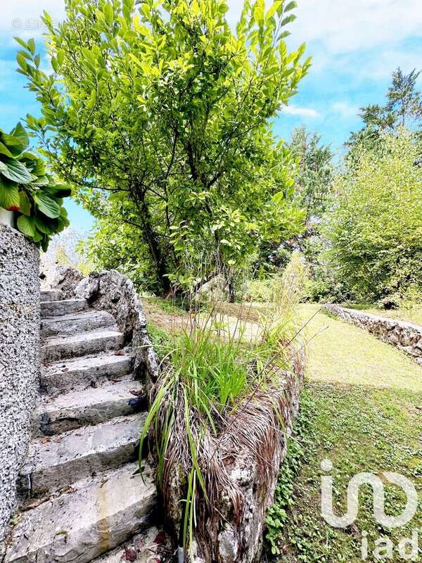 Photo 5 - Maison à NOGENT-SUR-VERNISSON