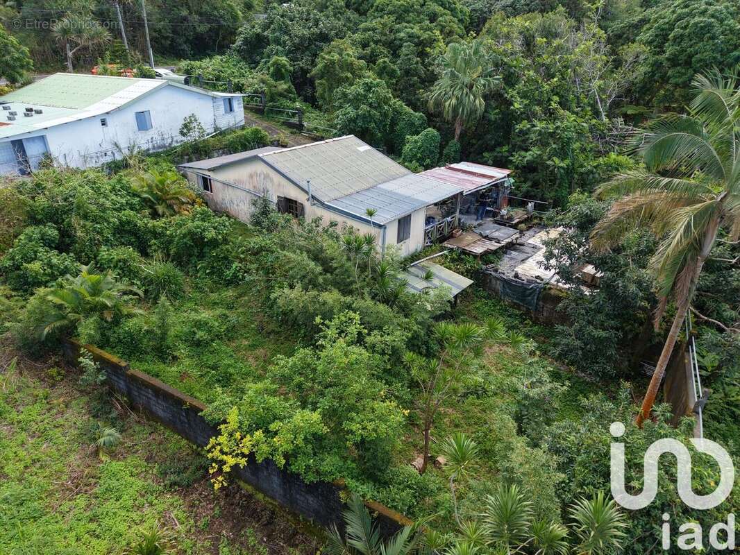 Photo 3 - Maison à SAINT-PHILIPPE