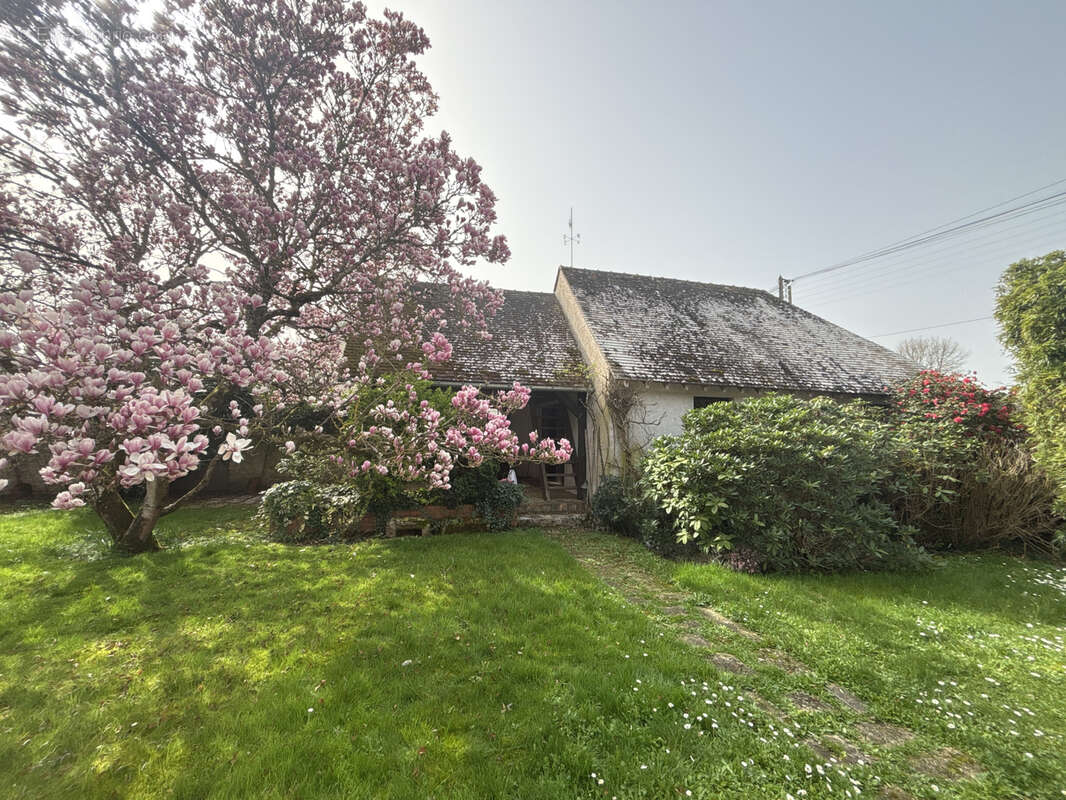 Maison à OLIVET