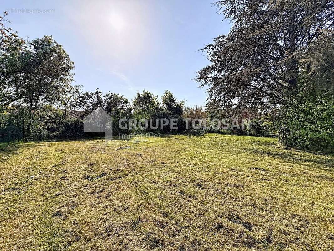 Terrain à GRAGNAGUE