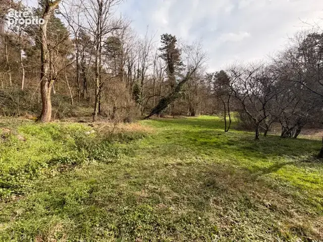 Terrain à SATHONAY-CAMP