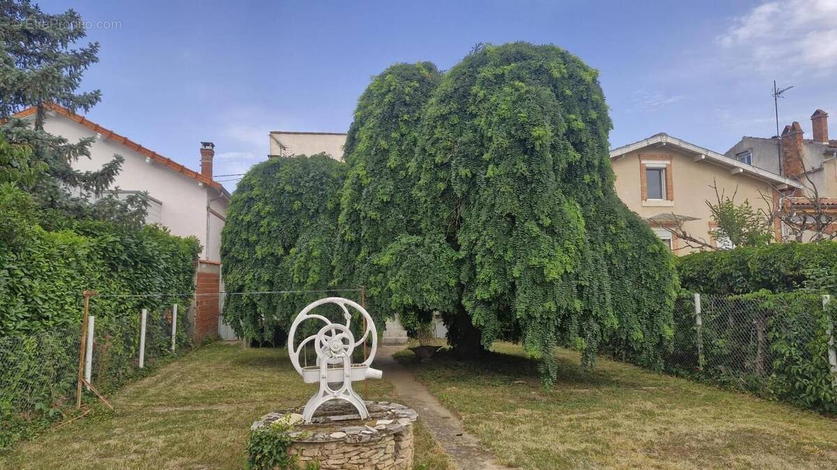 Photo 1 - Maison à CASTRES