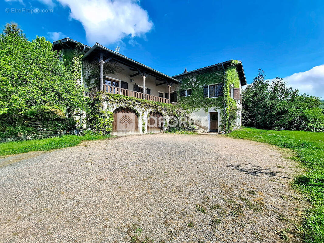 Maison à BELLEVILLE