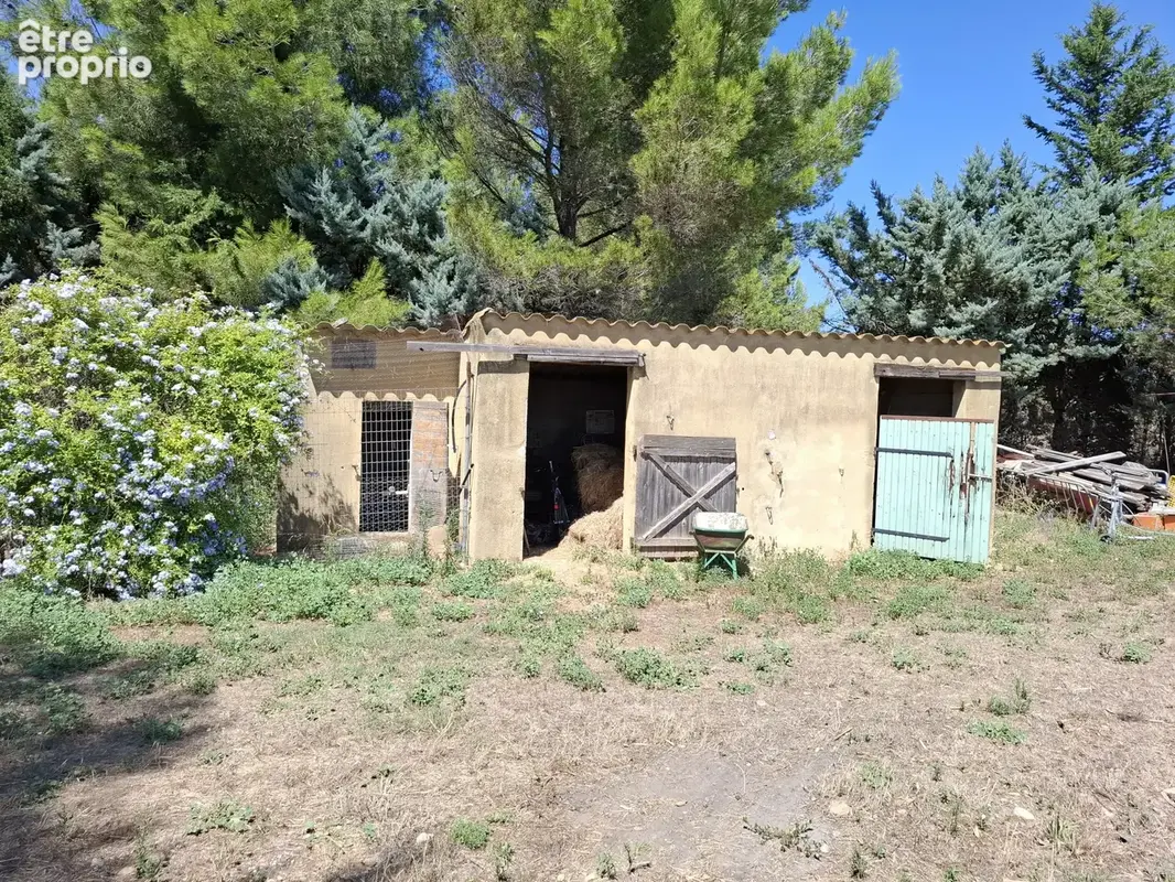 Domaine entre Alpilles et Arles - photo 38