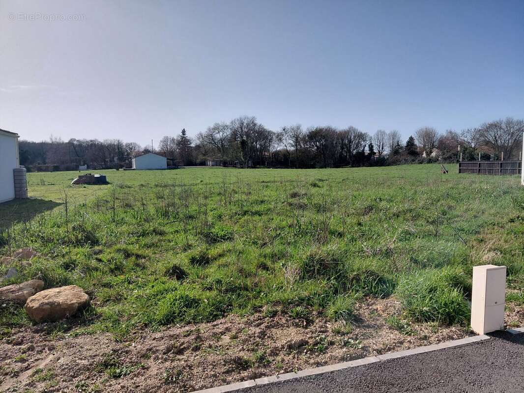 Terrain à PORT-D'ENVAUX